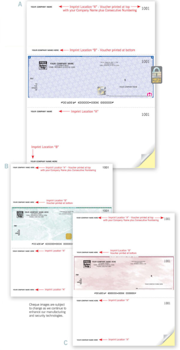 9039 Laser Cheques
